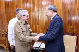 Le secrétaire général du Parti et président To Lam (droite) rencontre le leader révolutionnaire cubain, le général Raúl Castro Ruz. Photo : VNA