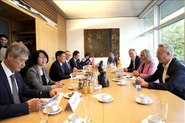 La séance de travail entre le vice-Premier ministre Ho Duc Phoc et la présidente du Groupe des parlementaires d’amitié de l’Allemagne-Association des nations de l'Asie du Sud-Est (ASEAN), Mme Gabriele Katzmarek. Photo : VNA