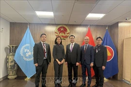 Le chef de la Mission permanente du Vietnam auprès des Nations Unies, l'ambassadeur Dang Hoang Giang (3e à droite) a reçu le 17 octobre à New York, Mme Pauline Tamesis, coordinatrice résidente des Nations Unies au Vietnam. Photo : VNA