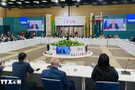 Vietnam News Agency attends BRICS Media Summit