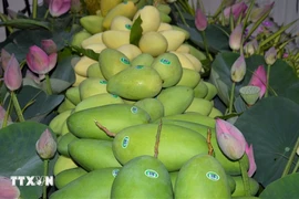 Vietnamese mango (Photo: VNA)