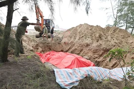 The whale carcass buried by local residents in Nghe An (Photo: VNA)