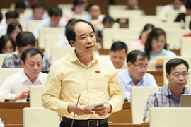Deputy Truong Xuan Cu from the capital city of Hanoi contributes his ideas at the NA sitting. (Photo: VNA)