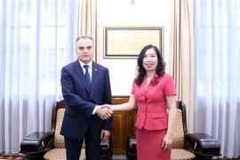 Deputy Minister of Foreign Affairs Le Thi Thu Hang (R) receives Turkmenistan Ambassador Parakhat Hommadovich Durdyev (Photo: VNA)