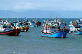 Vietnam's fishing boats (Photo: baochinhphu.vn)