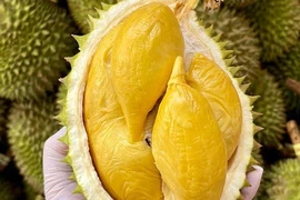 Vietnam earns more than 1.3 billion USD from shipping durian abroad in the first six months of 2024 (Photo: baocongthuong.vn)