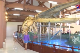 越南最大鲸鱼骨骼颇受游客的青睐