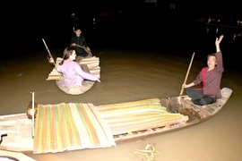 The Mekong Delta province of Dong Thap recreates the night market of the Dinh Yen sedge mat weaving village to create a unique tourism product for tourists. (Photo: VNA)