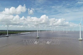 A coastal wind power project in Bac Lieu province. (Photo: VNA)