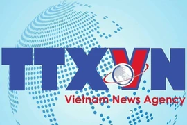 Military aircraft crash in Binh Dinh: All two pilots contacted