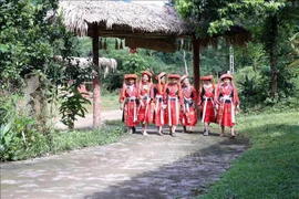 A group of Pa Then women in Tuyen Quang province wearing their traditional costume (Photo: VNA)