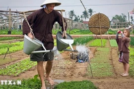 Tourists enjoy experiences at the Tra Que vegetable village in Hoi An, Quang Nam province. (Photo: VNA)