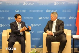 El ministro de Asuntos Exteriores, Bui Thanh Son (izquierda), y el secretario general de la OCDE, Mathias Cormann. (Foto: VNA)