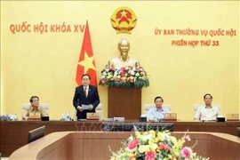 El vicepresidente permanente de la Asamblea Nacional, Tran Thanh Man, interviene en la 33 Reunión del Comité Permanente del Parlamento. (Foto: VNA)