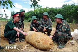 La bomba de guerra de 350 kg descubierta en Quang Binh (Foto: VNA)