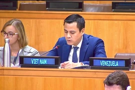 El embajador Dang Hoang Giang, jefe de la misión permanente del país indochino ante las Naciones Unidas (ONU), interviene en la sesión de debate (Fuente: VNA)