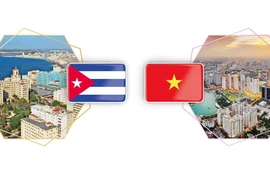 Relaciones de solidaridad tradicional y amistad especial entre Vietnam y Cuba