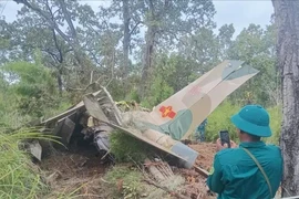 Sitio donde encuentra los restos del avión (Fuente: VNA)