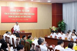 El secretario general del Partido Comunista de Vietnam, To Lam, interviene en la reunión. (Foto: VNA)