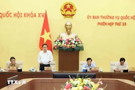 Le vice-président permanent de l'Assemblée nationale, Trân Thanh Mân, s'exprime lors de la 33e réunion du Comité permanent de l’Assemblée nationale. Photo: VNA