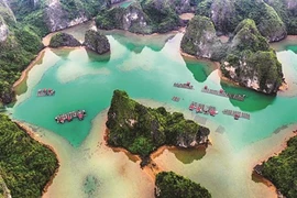 Le village de pêcheurs de Vung Viêng captive les touristes étrangers 