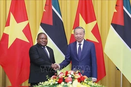 Le président mozambicain Filipe Jacinto Nyusi en visite officielle au Vietnam