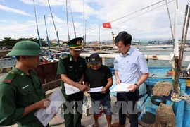 Des gardes-frontières de la province de Binh Dinh inspectent les bateaux de pêche. Photo: VNA