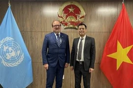 L'ambassadeur Dang Hoang Giang, chef de la Mission permanente du Vietnam auprès de l'ONU (droite) et Andreas Schaal, représentant spécial par intérim de l'Organisation de coopération et de développement économiques (OCDE) auprès de l'ONU. Photo: VNA