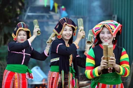 贡族同胞妇女的传统服饰色彩丰富多样。图自 越通社《越南画报》