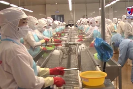 中国是越南最大的活蟹消费市场