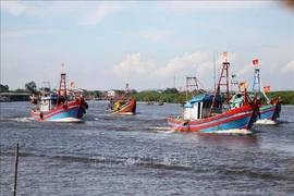 Fishing vessels in Dien Chau, Nghe An (Photo; VNA)