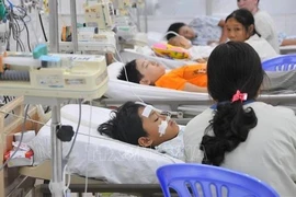 Dengue fever patients (Photo: VNA)