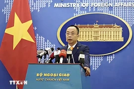 Deputy Spokesperson of the Foreign Ministry Doan Khac Viet. (Photo: VNA)