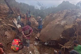 Search for victims in the landslide (Photo: AFP)