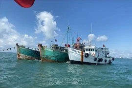 Ba Ria - Vung Tau authorities have discovered and handled six cases of violations of regulations against illegal, unreported and unregulated (IUU) fishing. (Photo: VNA)