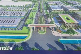 Overview of Tam Duong SHI Industrial Park (Photo: VNA)