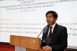 ITPC Deputy Director Dao Minh Chanh speaks at the event. (Photo: VNA)