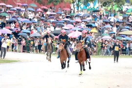 At the horse race in Lao Cai (Photo: baophapluat.vn)