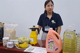 An exhibition of kitchen waste treatment plans at school in Da Nang. (Photo: VNA)