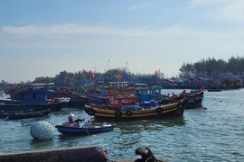 Ba Ria – Vung Tau tightens management over unregistered fishing vessels. (Photo: VNA)