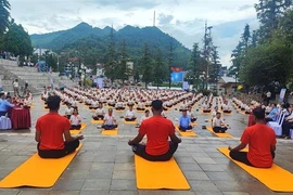 A mass yoga performance at the event (Photo: VNA)