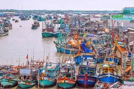 Offshore fishing boats docking at the seaport of Song Doc township, Tran Van Thoi district, the Mekong Delta province of Ca Mau (Photo: VNA)