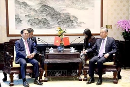Vietnamese Minister of Foreign Affairs Bui Thanh Son (left) and his Chinese counterpart Wang Yi at their meeting in Beijing on June 26. (Photo: VNA)