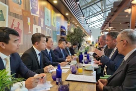 At the meeting between Minister of Science and Technology Huynh Thanh Dat and Timon Gremmels, Minister of Science and Research, Arts and Culture of Hessen state. (Photo: VNA)
