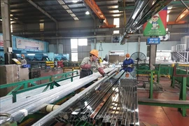 Workers at the Dong Anh Industrial Park. (Photo: VNA)