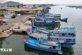 Fishing vessels docking at a port (Photo: VNA)
