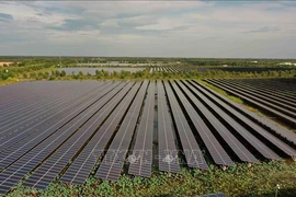 Europlast Long An solar power plant in the southern province of Long An. (Photo: VNA)