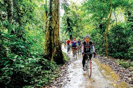 Tourists cycle in Xuan Son National Park in the northern province of Phu Tho. (Photo; baophutho.vn)