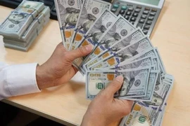 The State Bank of Vietnam set the daily reference exchange rate at 24,249 VND/USD on July 26. (Photo: VNA)