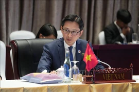 Vietnamese Deputy Minister of Foreign Affairs Do Hung Viet (Photo: VNA)